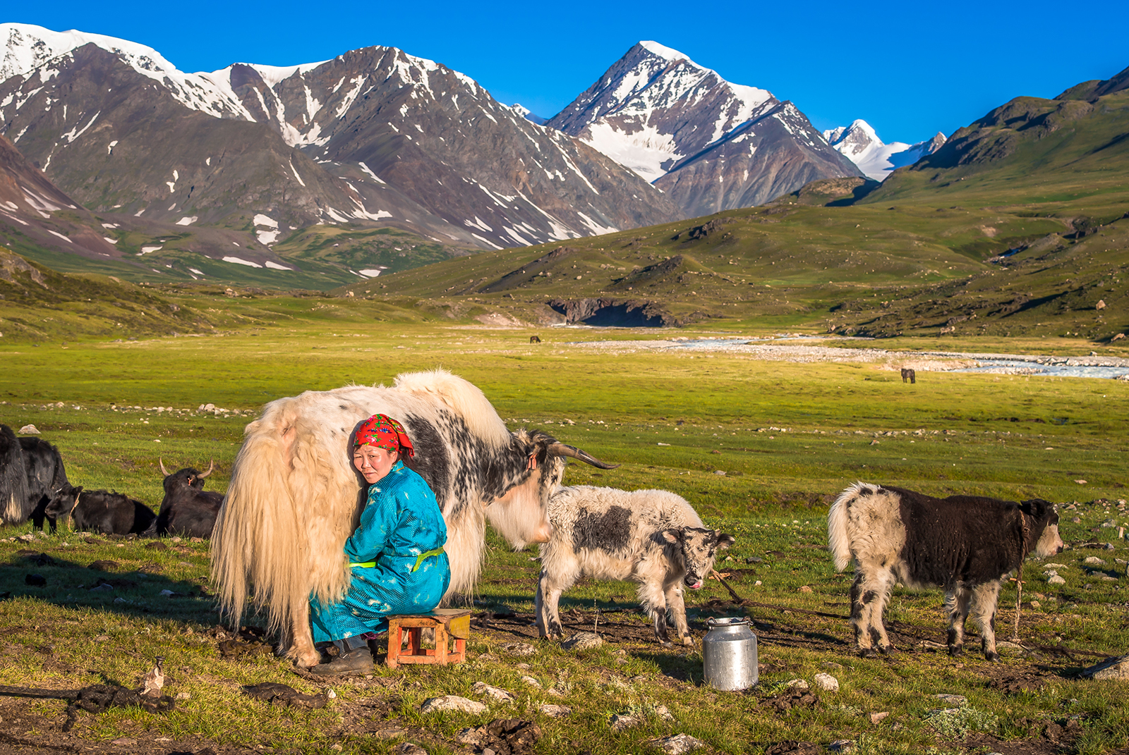 travel tours to mongolia