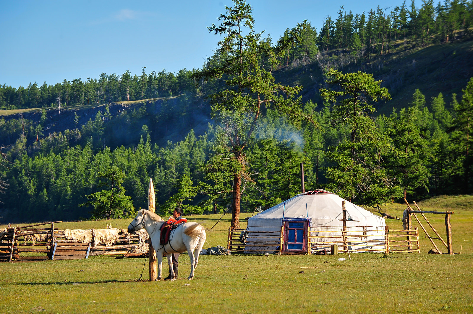 luxury tour to mongolia